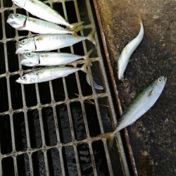 サゴシのお祭り会場にて