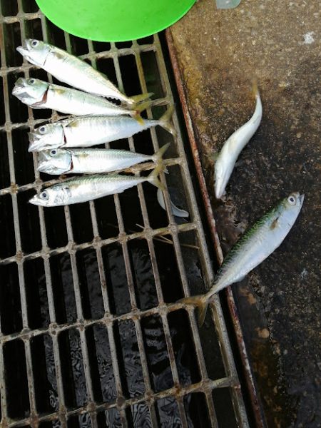 サゴシのお祭り会場にて