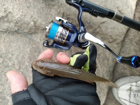 2023/09/23 大阪河川ライトゲーム…