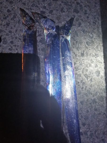 平日夜の刀狩り