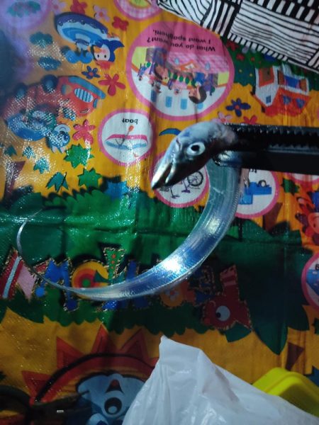 初挑戦タチウオ釣り！