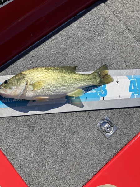 北山田ポツポツ