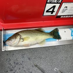 北山田小バス祭り