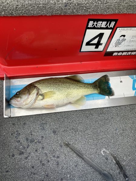 北山田小バス祭り