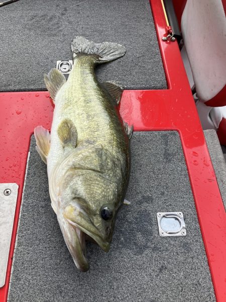 北山田ロクマル