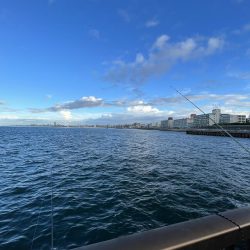 アジしか勝たん