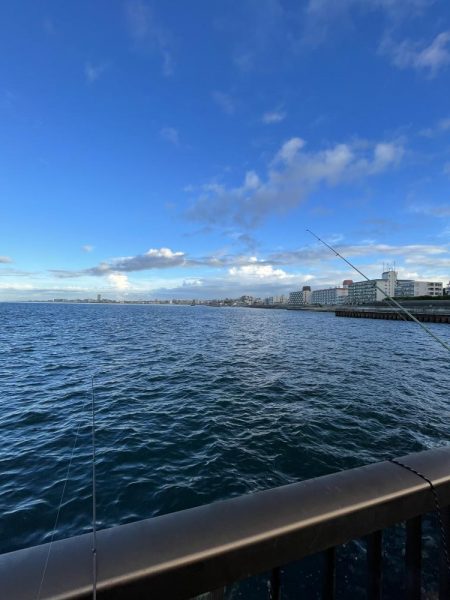 アジしか勝たん