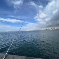 アレ達成ならず