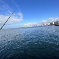 やっぱアジしか勝たん