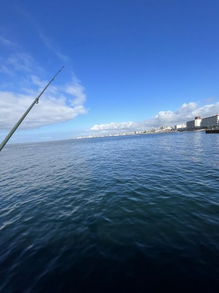 やっぱアジしか勝たん