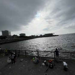 人多め　ウリボウも多め