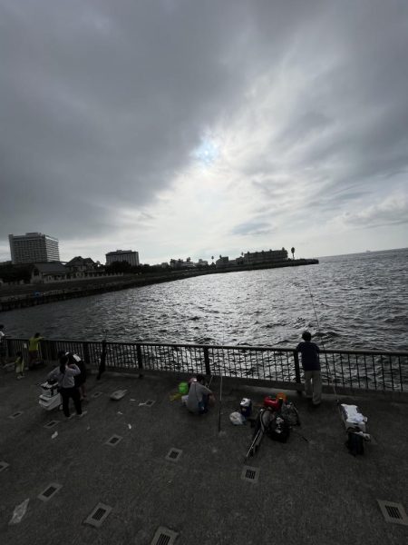 人多め　ウリボウも多め