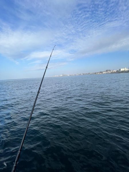 アジの時期長い