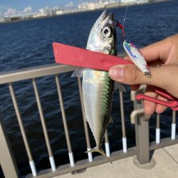 ファミリーフィッシング