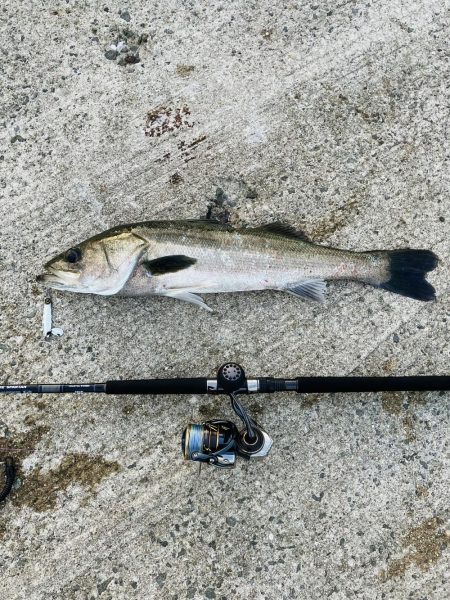 今日はゲット^_^