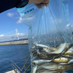 岩屋でサビキ釣り