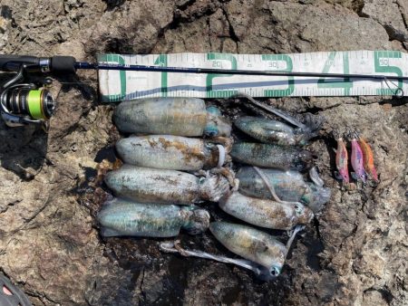 2023 佐渡ヶ島エギング 12回目【9月…