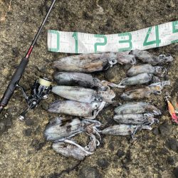 2023 佐渡ヶ島エギング 13回目【9月18日】