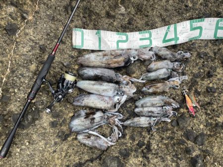 2023 佐渡ヶ島エギング 13回目【9月18日】