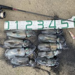 2023 佐渡ヶ島エギング 14回目【9月21日】