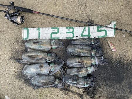 2023 佐渡ヶ島エギング 14回目【9月21日】