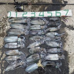 2023 佐渡ヶ島エギング 20回目【9月30日】