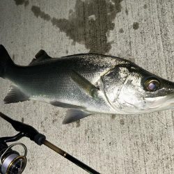 雨が降ったら出撃!