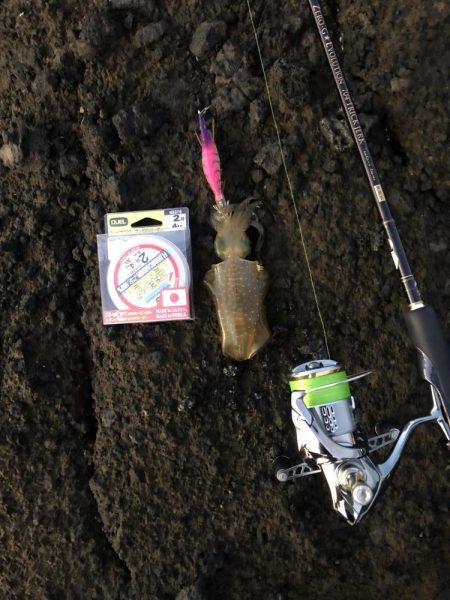 エギング　佐渡遠征2日目