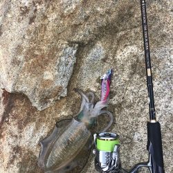 エギング　佐渡遠征②1日目