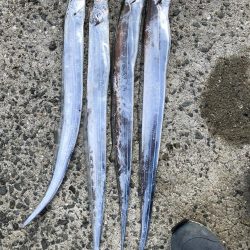 久々の投稿です