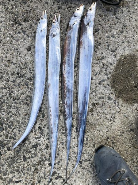 久々の投稿です