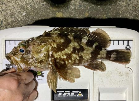 カサゴ釣りイベント2