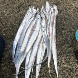 いつもの寝坊からの