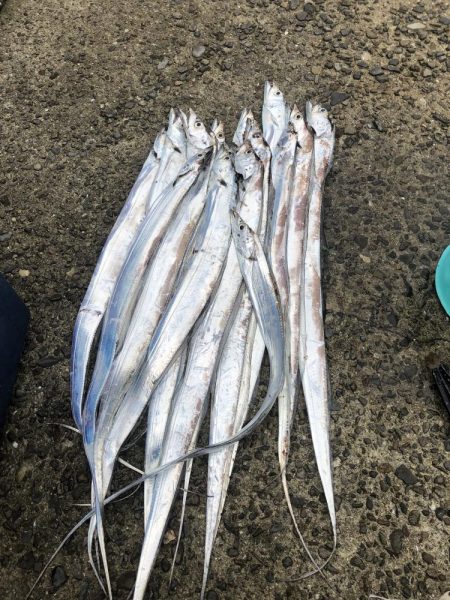 いつもの寝坊からの