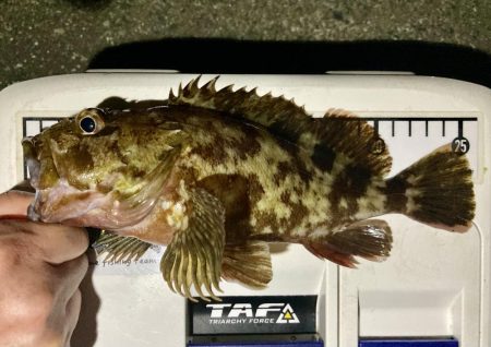 カサゴ釣りイベント6（記録更新）