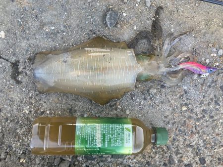 朝まずめにて^_^