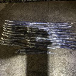 ★★大爆釣入れ食い状態★★