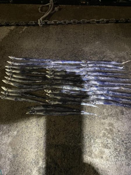 ★★大爆釣入れ食い状態★★