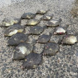 ★★美味しい鍋が食べたくて★★