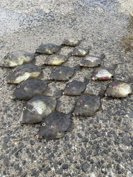 ★★美味しい鍋が食べたくて★★