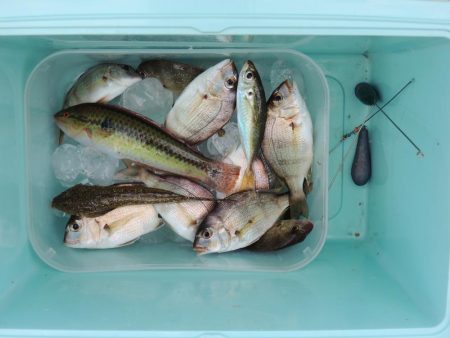 チャリコに降参　キスは何処に？