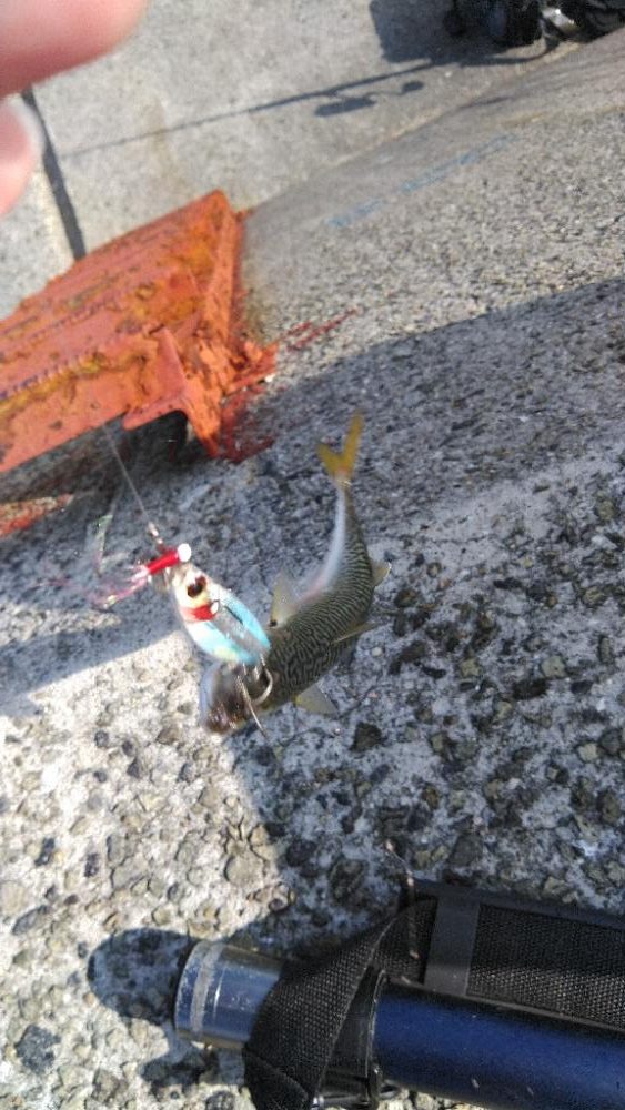 嫌気がさします。