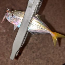 ボッチアジング