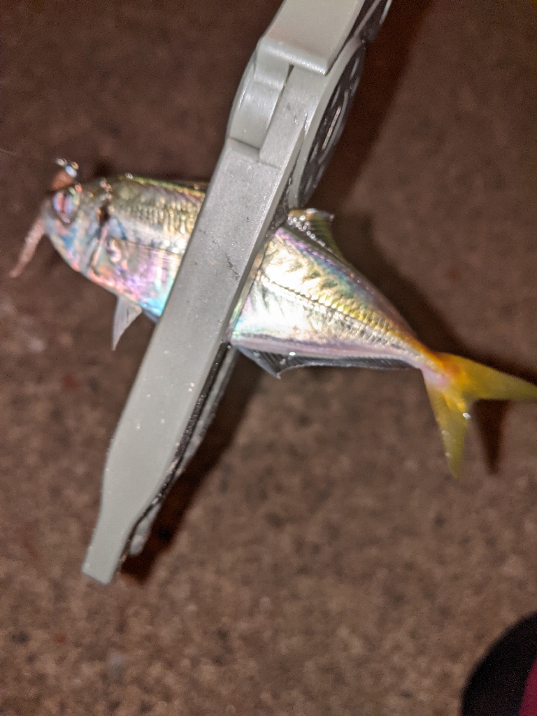 ボッチアジング