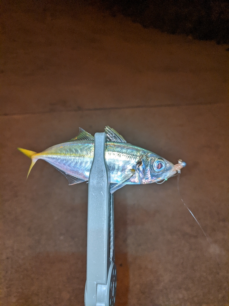 レベルアップ？