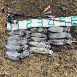 2023 佐渡ヶ島エギング 16回目【9月23日】