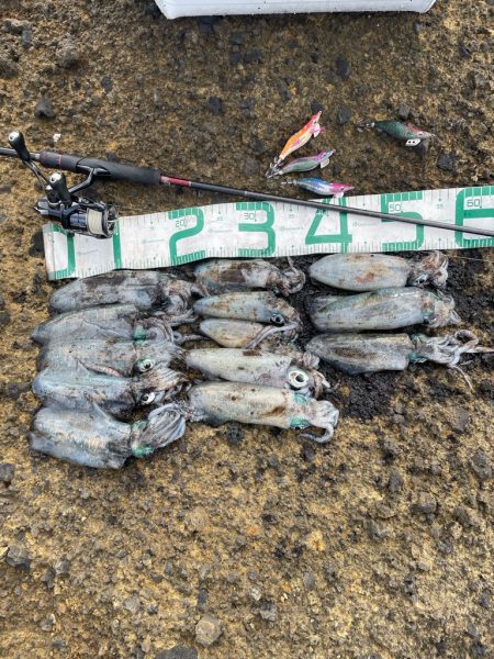 2023 佐渡ヶ島エギング 16回目【9月…