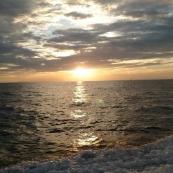 初のイカメタル