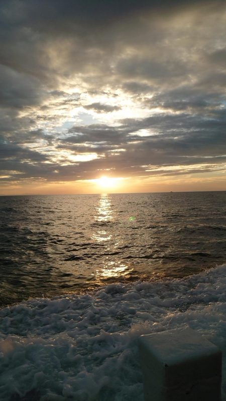 初のイカメタル