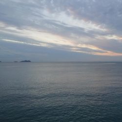 タチウオ✕シオ○